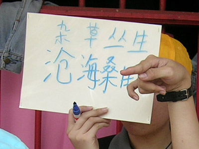 小记者40